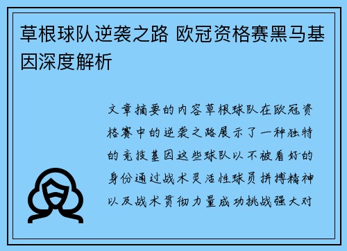 草根球队逆袭之路 欧冠资格赛黑马基因深度解析